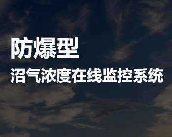 防爆型沼气浓度在线监控系统